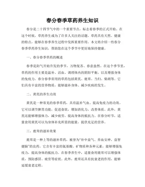 春分春季草药养生知识