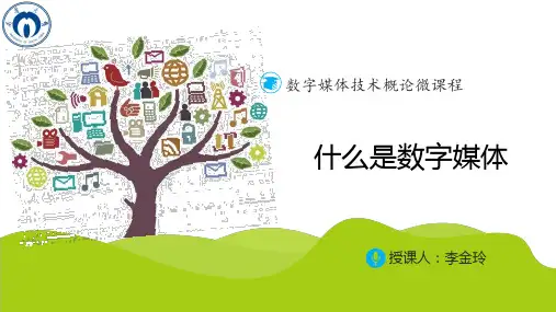 数字媒体ppt课件