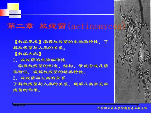 【医学精品课件之抗生素】放线菌(actinomyces)