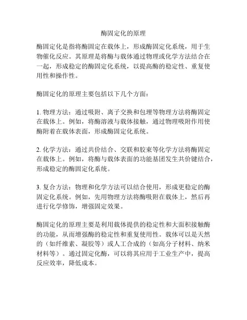 酶固定化的原理