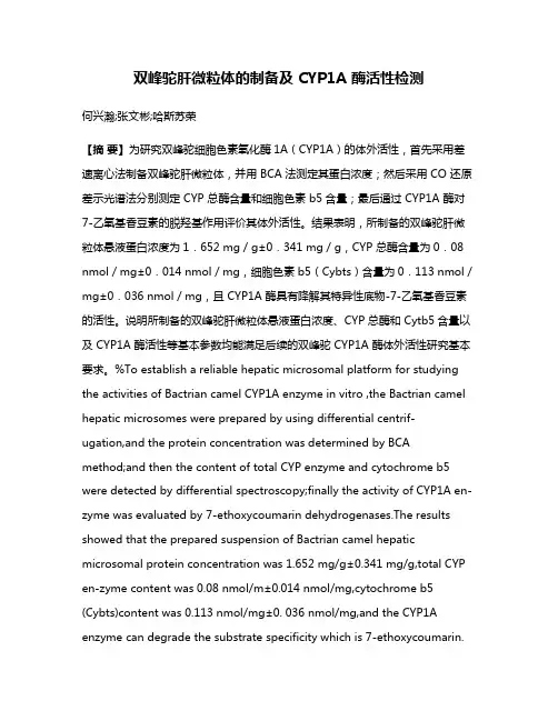 双峰驼肝微粒体的制备及 CYP1A 酶活性检测