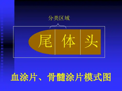 骨髓图谱骨髓细胞形态【391页】