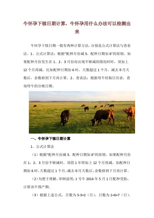 牛怀孕下犊日期计算,牛怀孕用什么办法可以检测出来