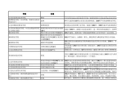 20110308山东省专科院校汇总A1.1...
