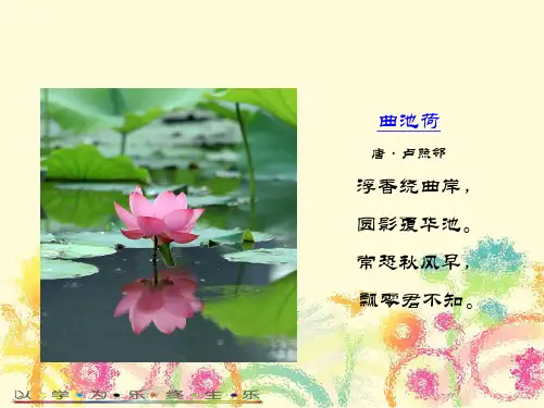 10新弘乐阅读理解第十课 说明文的阅读