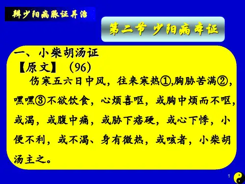 少阳病第二节ppt课件