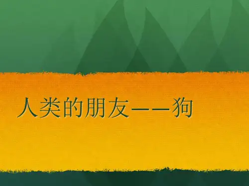 狗ppt
