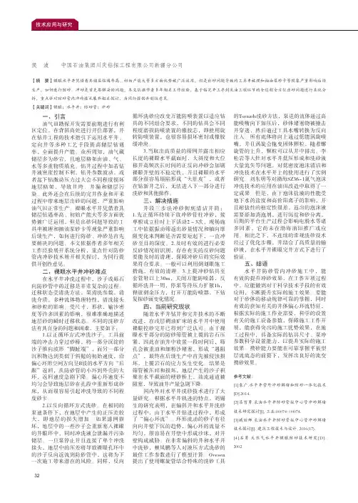 裸眼水平井防砂管内冲砂技术探究