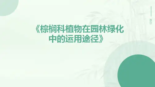 棕榈科植物在园林绿化中的运用途径