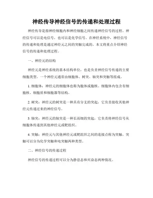神经传导神经信号的传递和处理过程