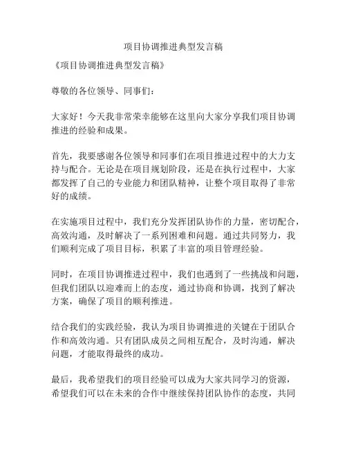 项目协调推进典型发言稿