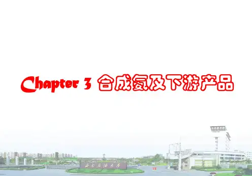 Chapter 3 合成氨及下游产品
