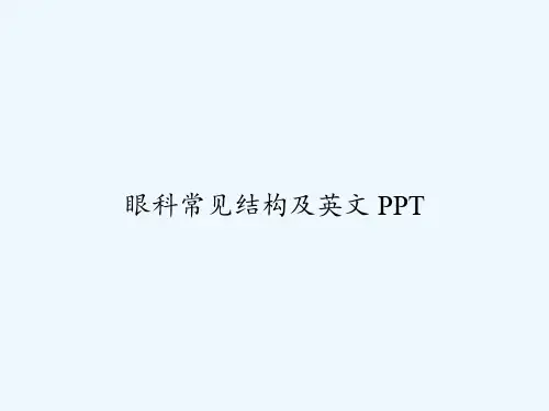 眼科常见结构及英文 PPT