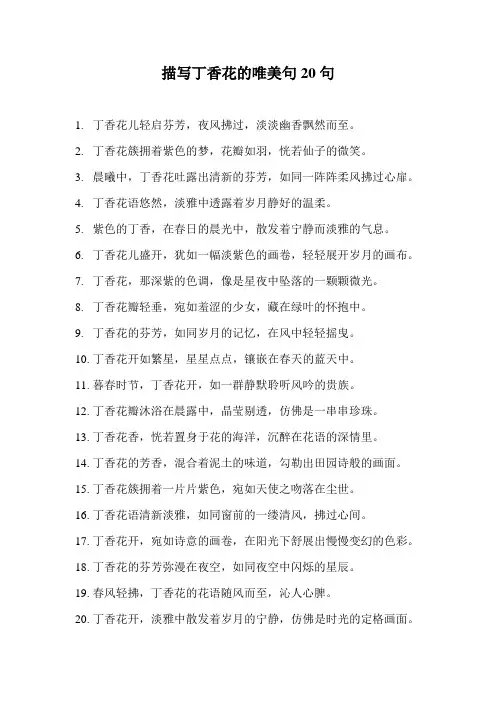 描写丁香花的唯美句20句