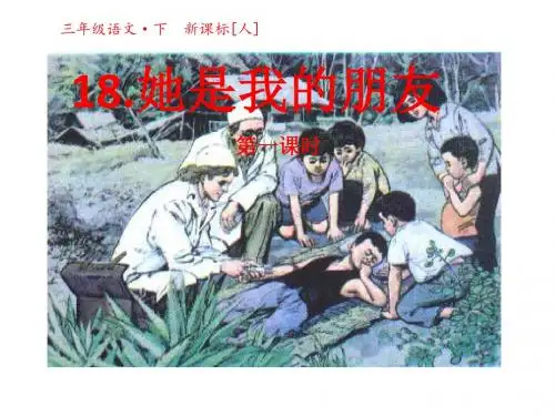 第18课她是我的朋友第一课时ppt课件