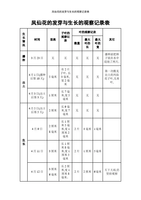 凤仙花的发芽与生长的观察记录表