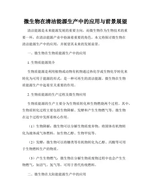 微生物在清洁能源生产中的应用与前景展望
