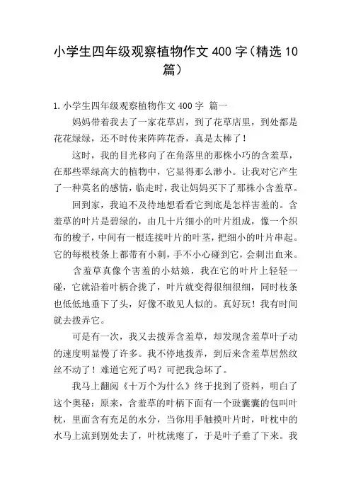 小学生四年级观察植物作文400字(精选10篇)