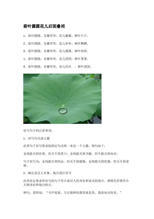 荷叶圆圆花儿后面叠词