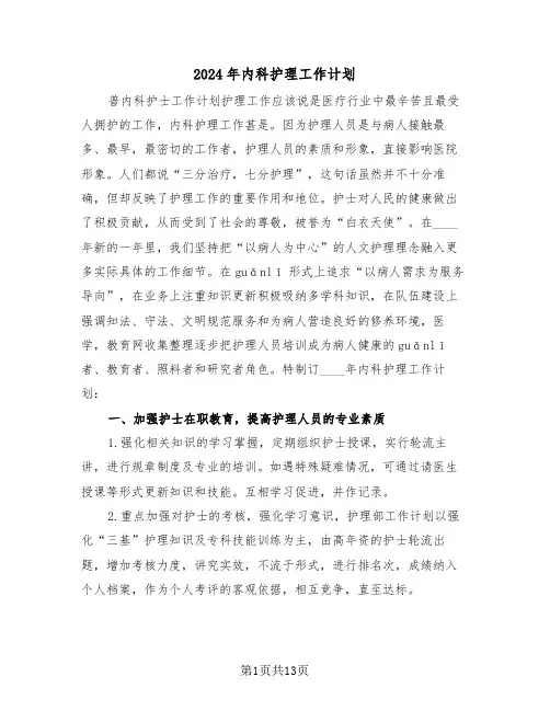 2024年内科护理工作计划(5篇)