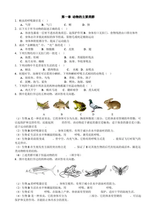 八年级生物上册《第一章 动物的主要类群》练习