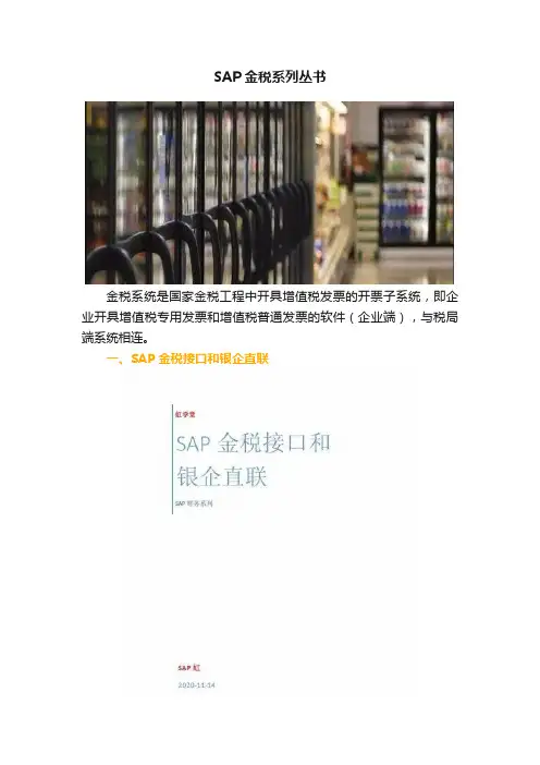 SAP金税系列丛书