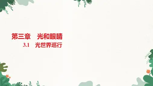 沪粤版物理八年级上册光世界巡行习题课件