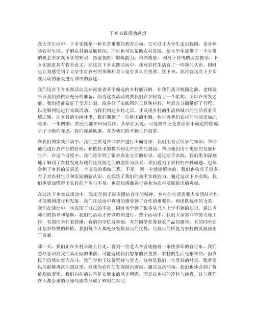 下乡实践活动感想