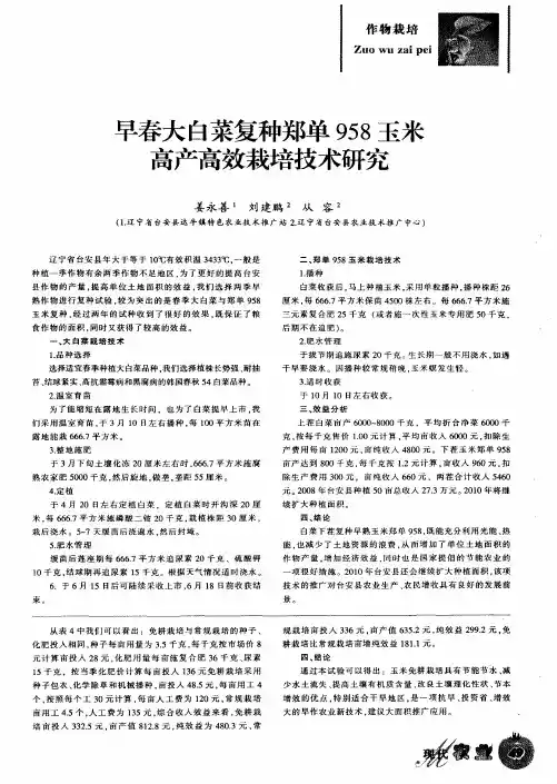 早春大白菜复种郑单958玉米高产高效栽培技术研究