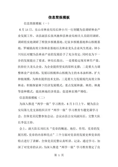 信息简报模板word精品文档3页