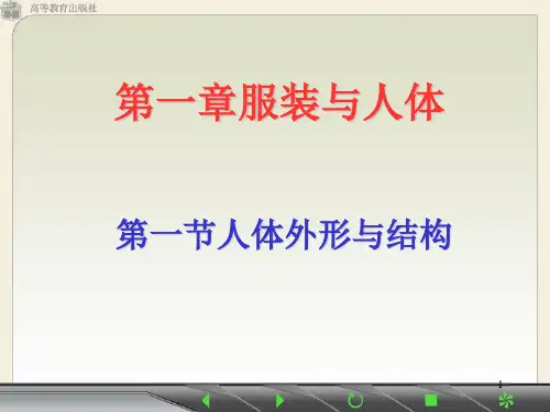 人体外形与结构ppt课件