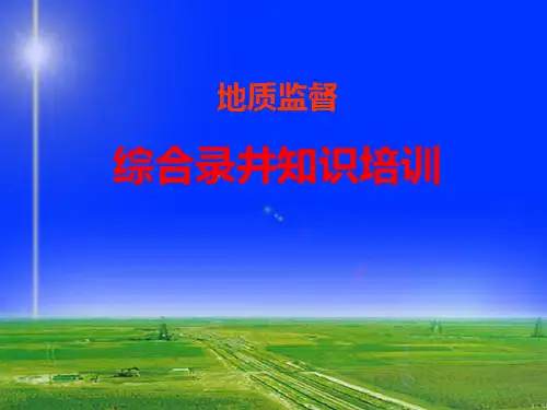 地质监督综合录井培训PPT课件