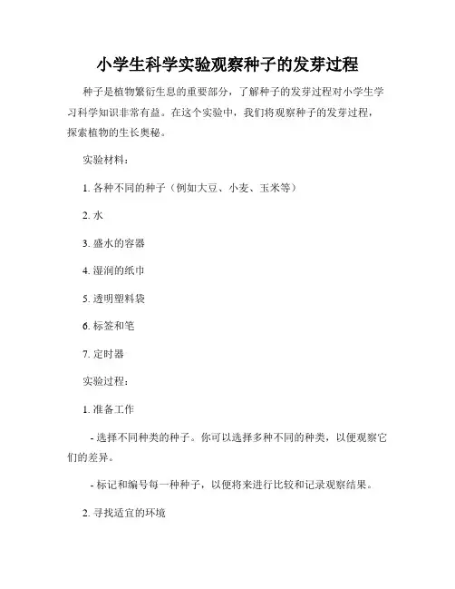 小学生科学实验观察种子的发芽过程