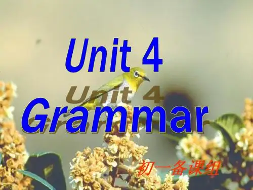 牛津译林版7A Unit4 My day Grammar课件(共23张PPT)