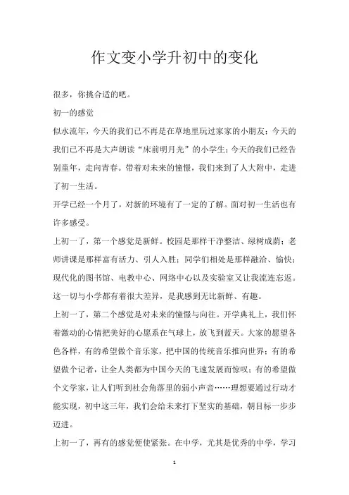 作文 变 小学升初中的变化