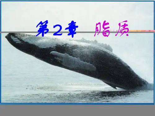 第二章脂质