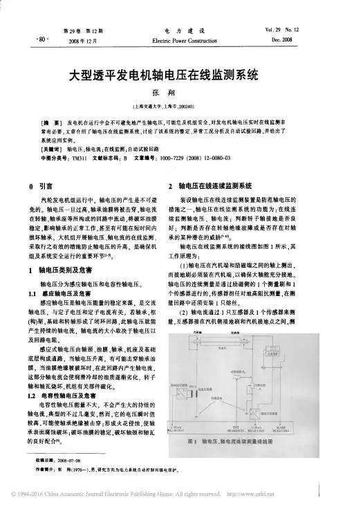 大型透平发电机轴电压在线监测系统