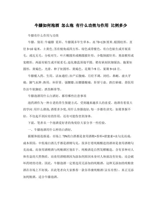 牛膝如何泡酒怎么泡有什么功效与作用比例多少