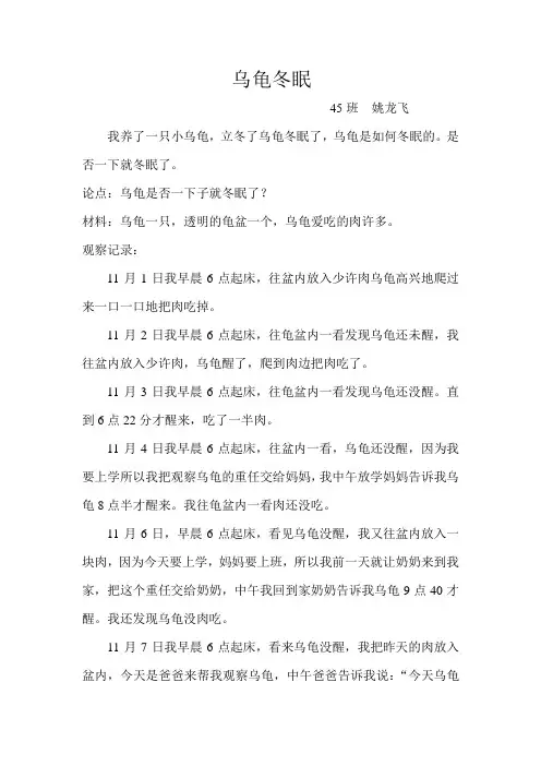 乌龟冬眠1