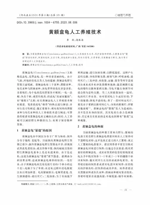 黄额盒龟人工养殖技术