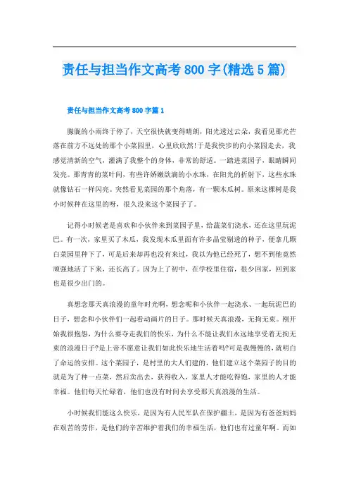 责任与担当作文高考800字(精选5篇)