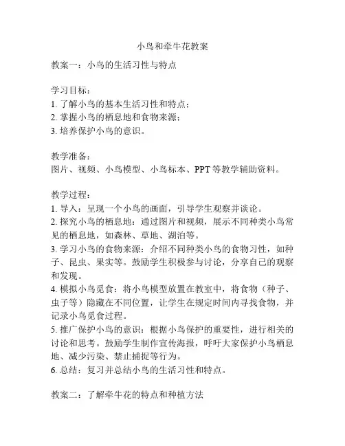 小鸟和牵牛花教案