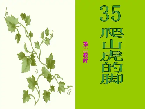 《爬山虎的脚》ppt课件第二课时[1]