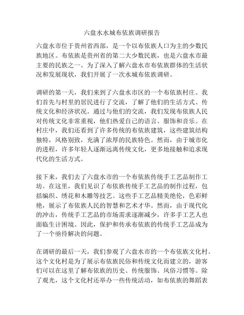 六盘水水城布依族调研报告