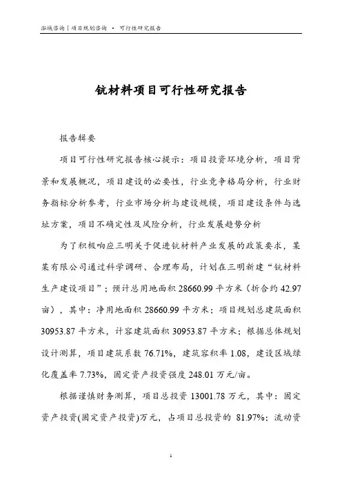 钪材料项目可行性研究报告