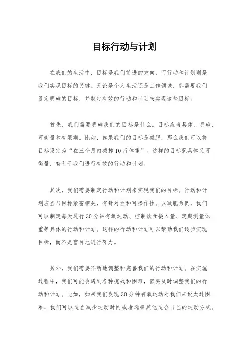 目标行动与计划
