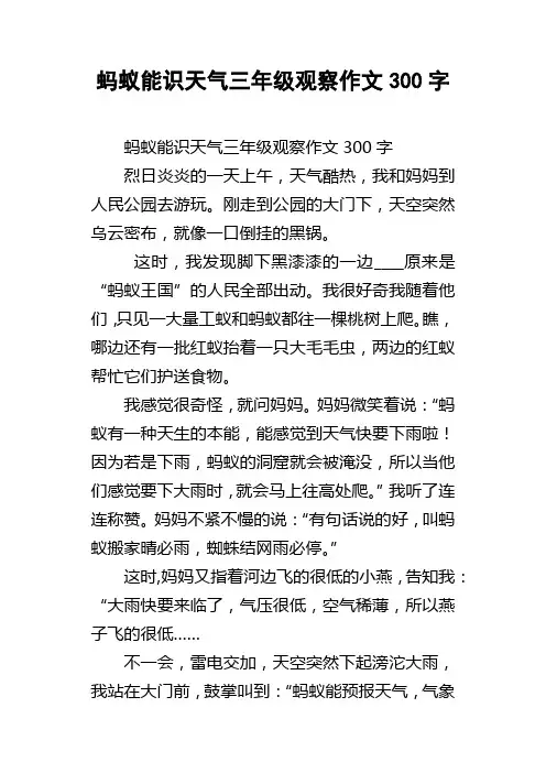 蚂蚁能识天气三年级观察作文300字
