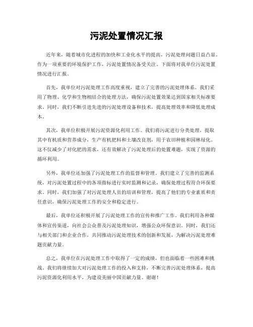 污泥处置情况汇报