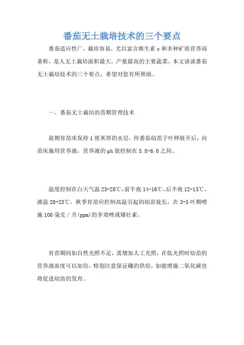 番茄无土栽培技术的三个要点