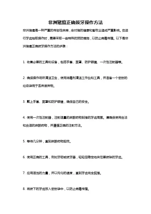 非洲猪瘟正确拔牙操作方法